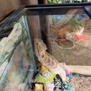 Meet your Posher, Carla